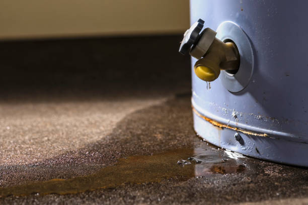 Water damage restoration insurance claims in Cornersville, TN