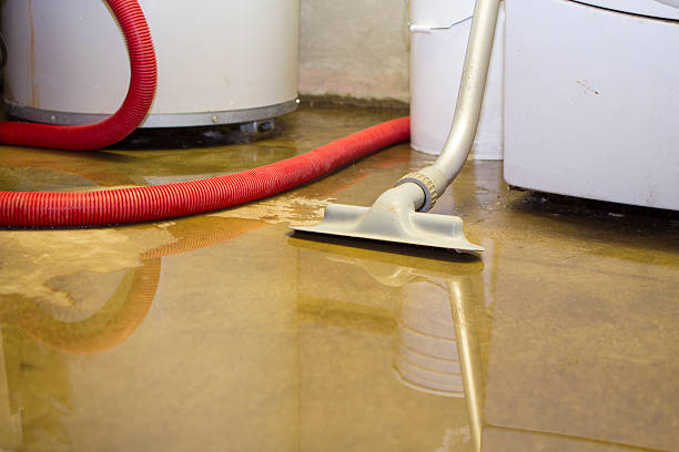  Cornersville, TN Water damage restoration Pros