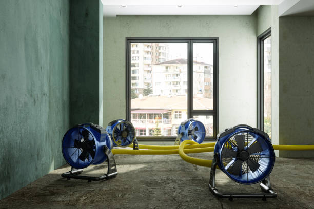 Best Residential water damage restoration  in Cornersville, TN